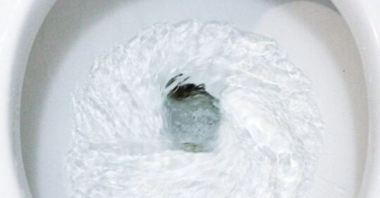 What Not to Flush Down Your Toilet (A Guide to Avoiding Disaster)